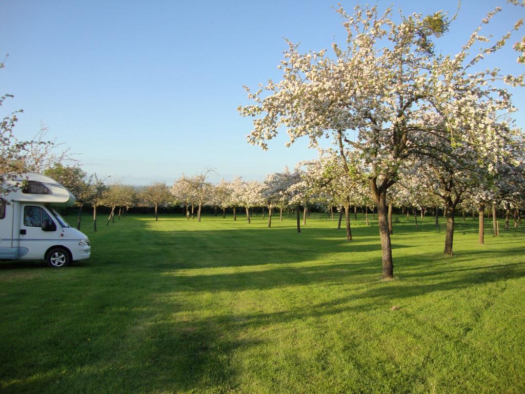 Orchard Farm Luxury Glamping And Campsite Γκλάστονμπερι Εξωτερικό φωτογραφία