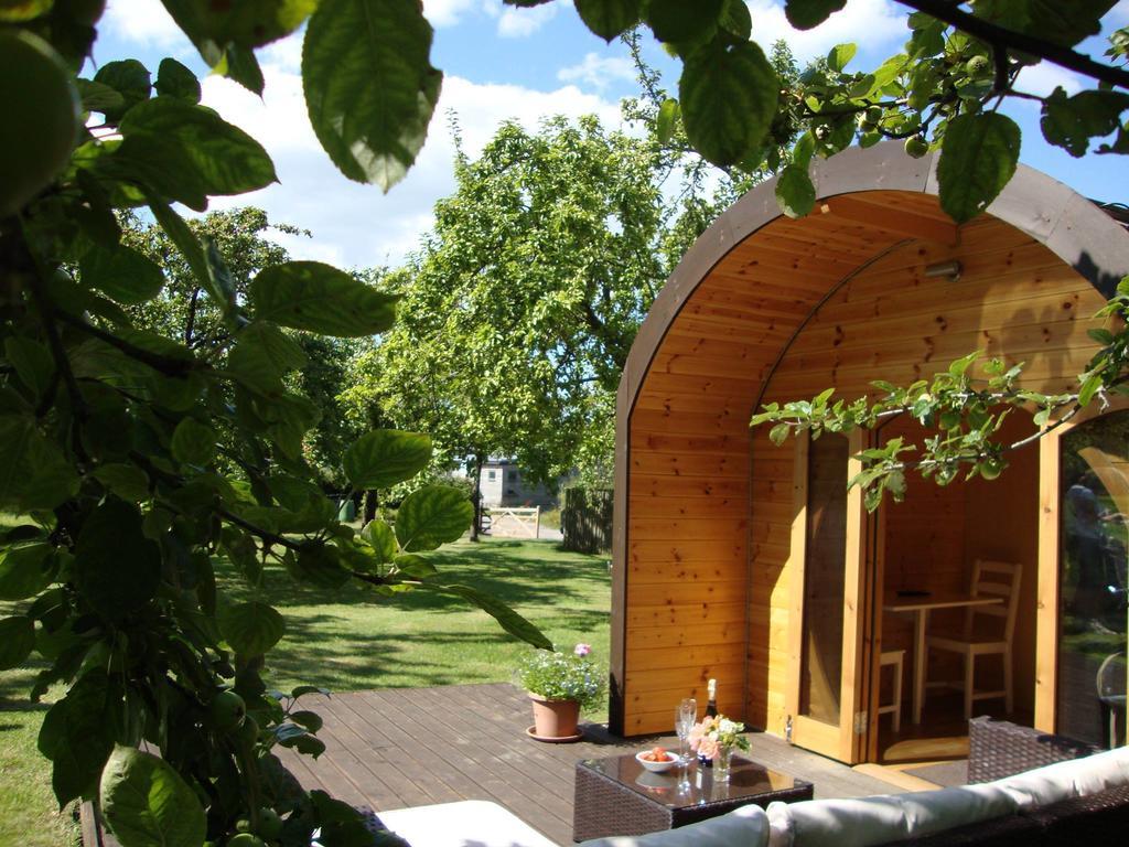 Orchard Farm Luxury Glamping And Campsite Γκλάστονμπερι Εξωτερικό φωτογραφία